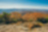 blood mtn