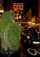Portgolio_Savoy London.jpeg