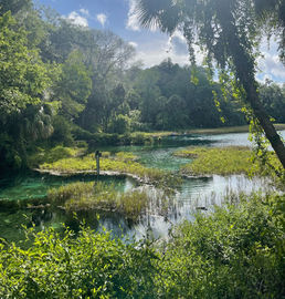 Portfolio_Florida Springs_2023_edited.jpg