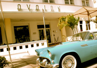 Avalon Hotel_South Beach.jpeg