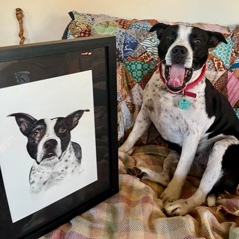 George, Staffy Cross