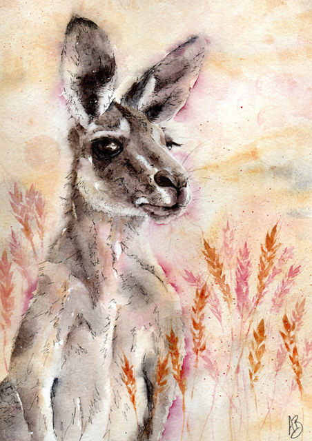 Watercolour painting of a small eastern grey kangaroo in colourful native grasses with yellow and pink hues