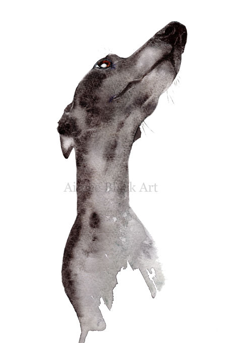 Beautiful watercolour painting of grey coated greyhound dog by Aimee Black