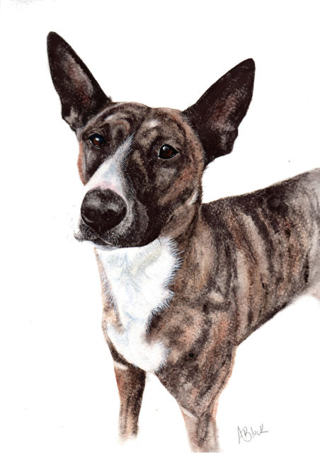 Custom watercolour dog portrait of Lexi, a brindle bull terrier, painted from a client photo as a birthday gift.