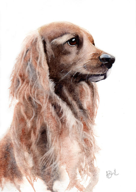 Custom watercolour dog portrait of Oakey, a tan coloured cocker spaniel, painted from a client photo as a gift from one sister to another.