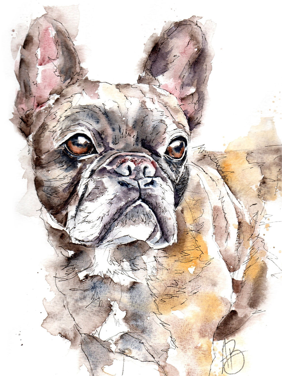 Schnitzel - French Bulldog - Watercolour & Ink