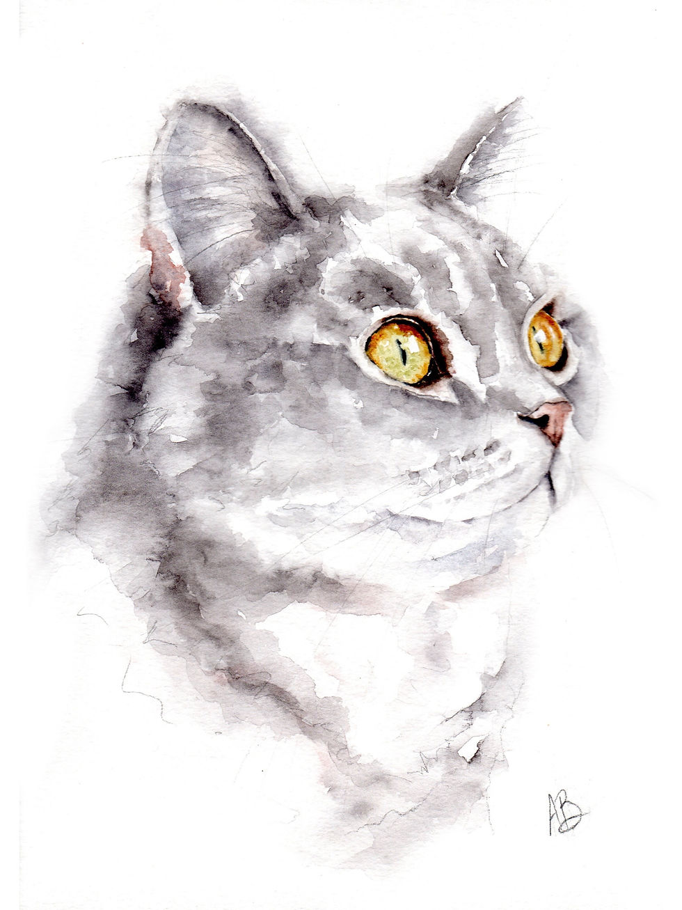 Silver Cat - Pen and Wash