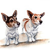Handpainted custom Watercolour Pet Portrait, Jack Russell and Fox Terrier.