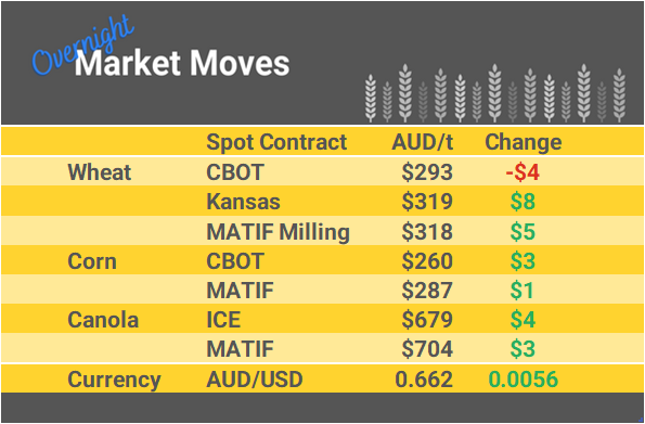 Grain Report Friday - 8th March