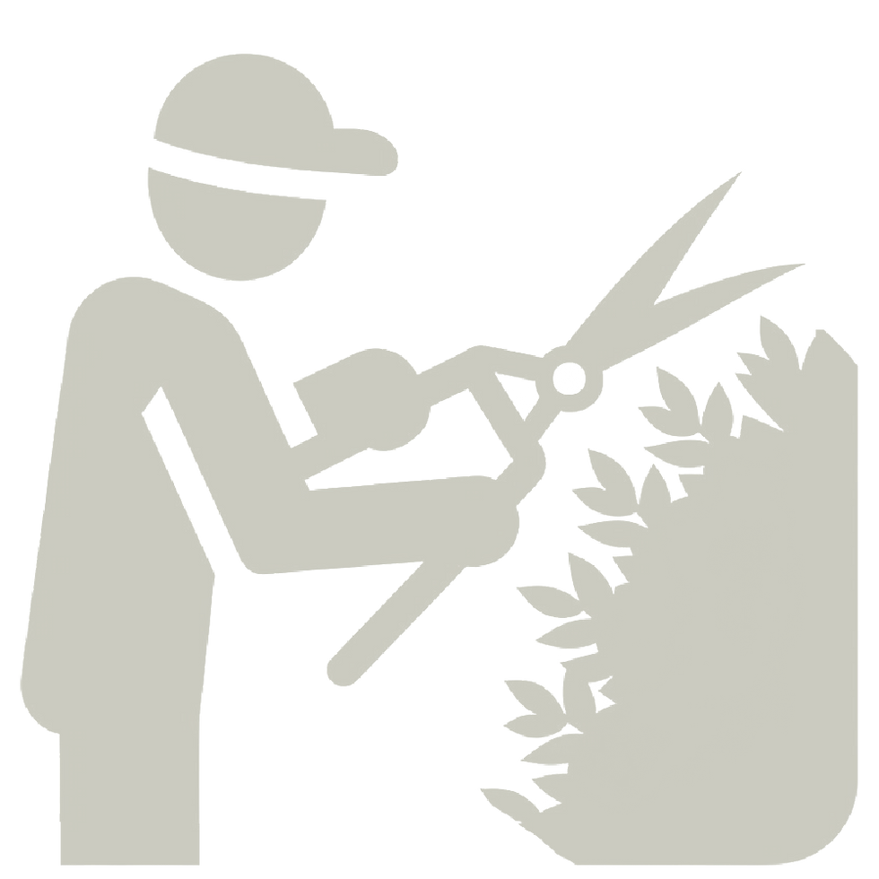 bush and hedge trimming icon
