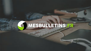Mesbulletins - Logo.jpg