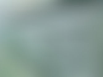 デジタルピッキングで在庫管理の問題を解決