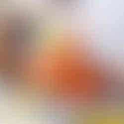 Seafood bucket with crab at Aprons & Hammers