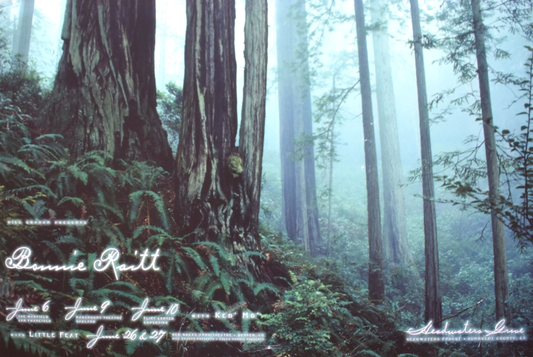 Bonnie Raitt Keb Mo BGP 194 Concert Poster 1998