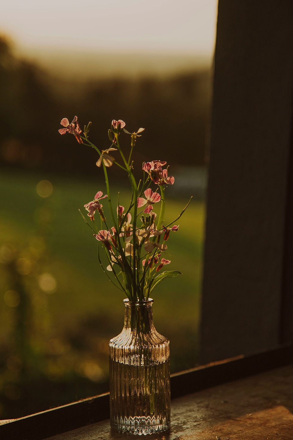flowers-small.jpg