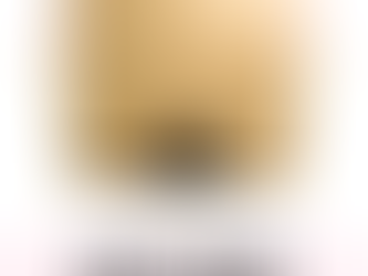 CHAPTER 1: The One Within.