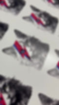 Miniatura: STICKERS 1/2 metro