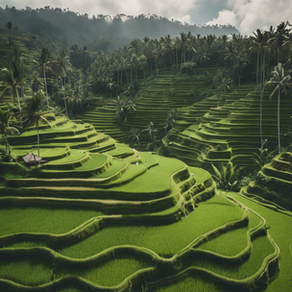 Discover Bali: Travel Tips and Theme Party Ideas