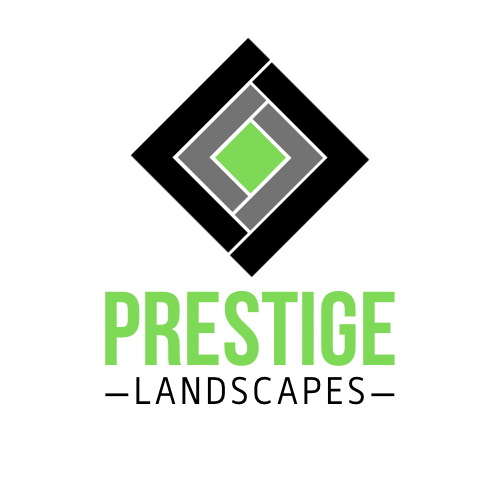 Writer: Lewis Linaker