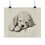 Thumbnail: Poodle Fine Art Print