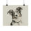 Thumbnail: Australian Shepherd Dog Fine Art Print