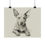 Thumbnail: American Hairless Terrier Fine Art Print