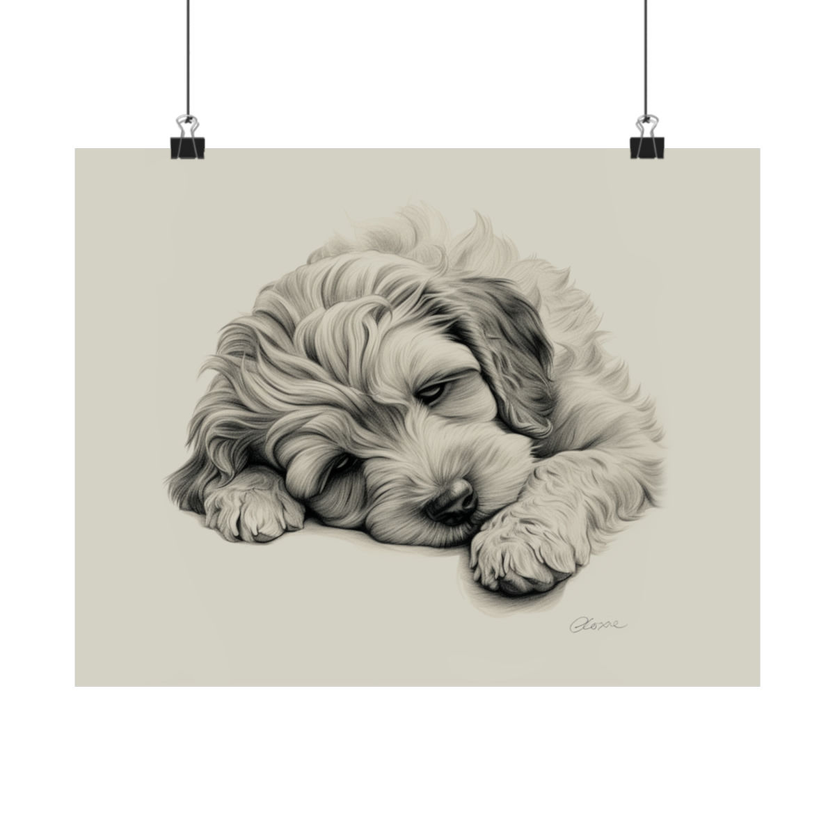 Cockapoo Fine Art Print