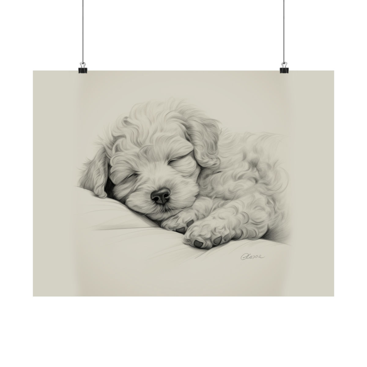 Poodle Fine Art Print