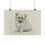 Thumbnail: Pomeranian Fine Art Print