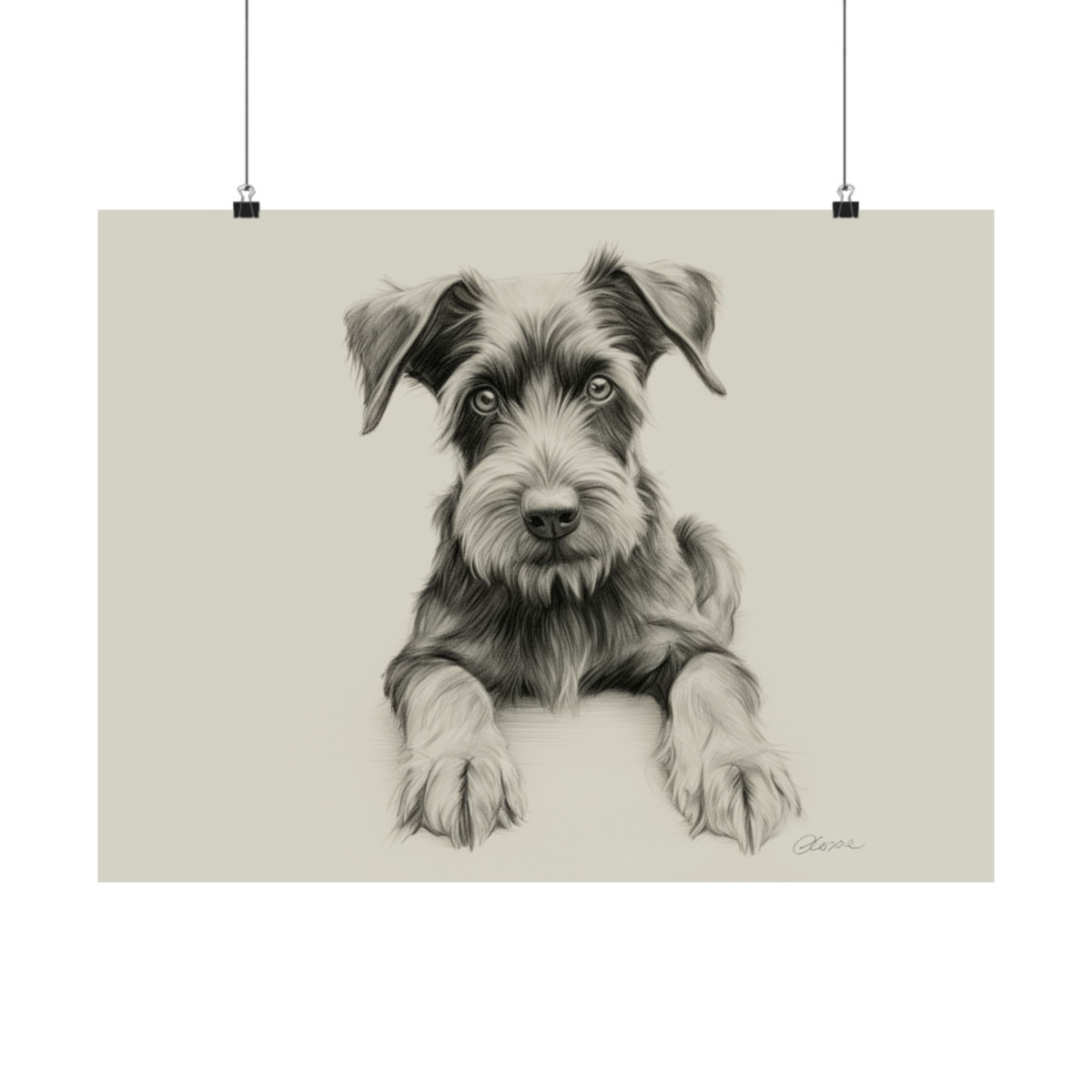 Giant Schnauzer Fine Art Print