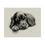 Thumbnail: Gordon Setter Fine Art Print