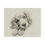 Thumbnail: English Cocker Spaniel Fine Art Print