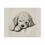 Thumbnail: Poodle Fine Art Print