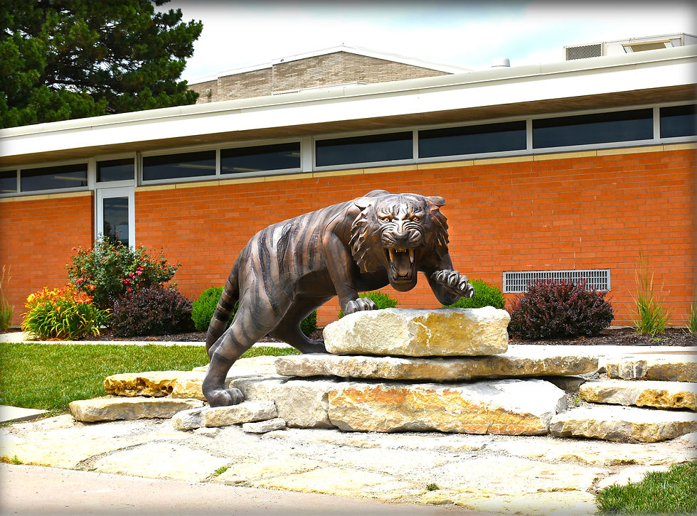 Bronze Tiger