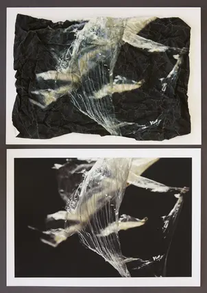 crumpled photo of discarded plastic in barbed wire that looks beautiful like pixie dresses