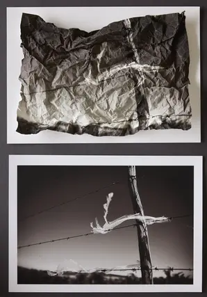 crumpled photo of discarded plastic in barbed wire that looks beautiful like pixie dresses