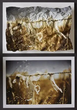 crumpled photo of discarded plastic in barbed wire that looks beautiful like pixie dresses