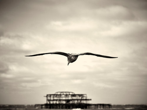 Fairground Attraction