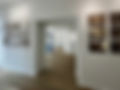 IMG_9450.jpeg
