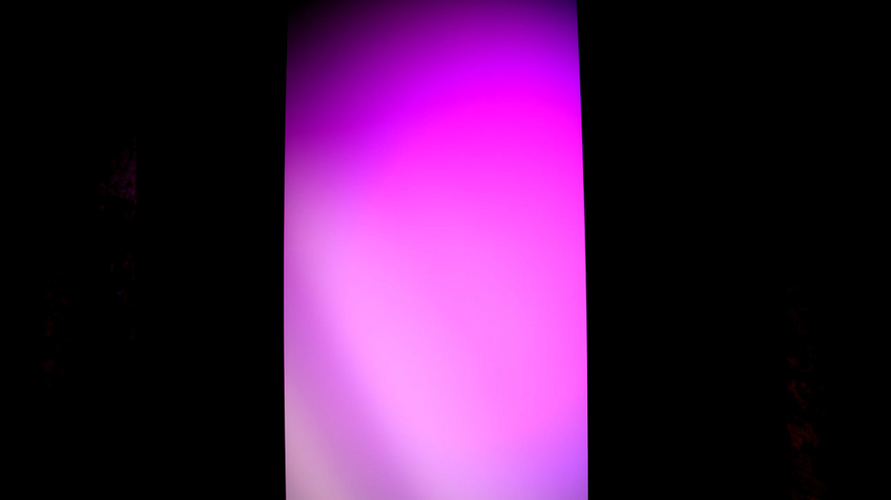 EspAlter_SistEcos_IMG_4616.jpeg