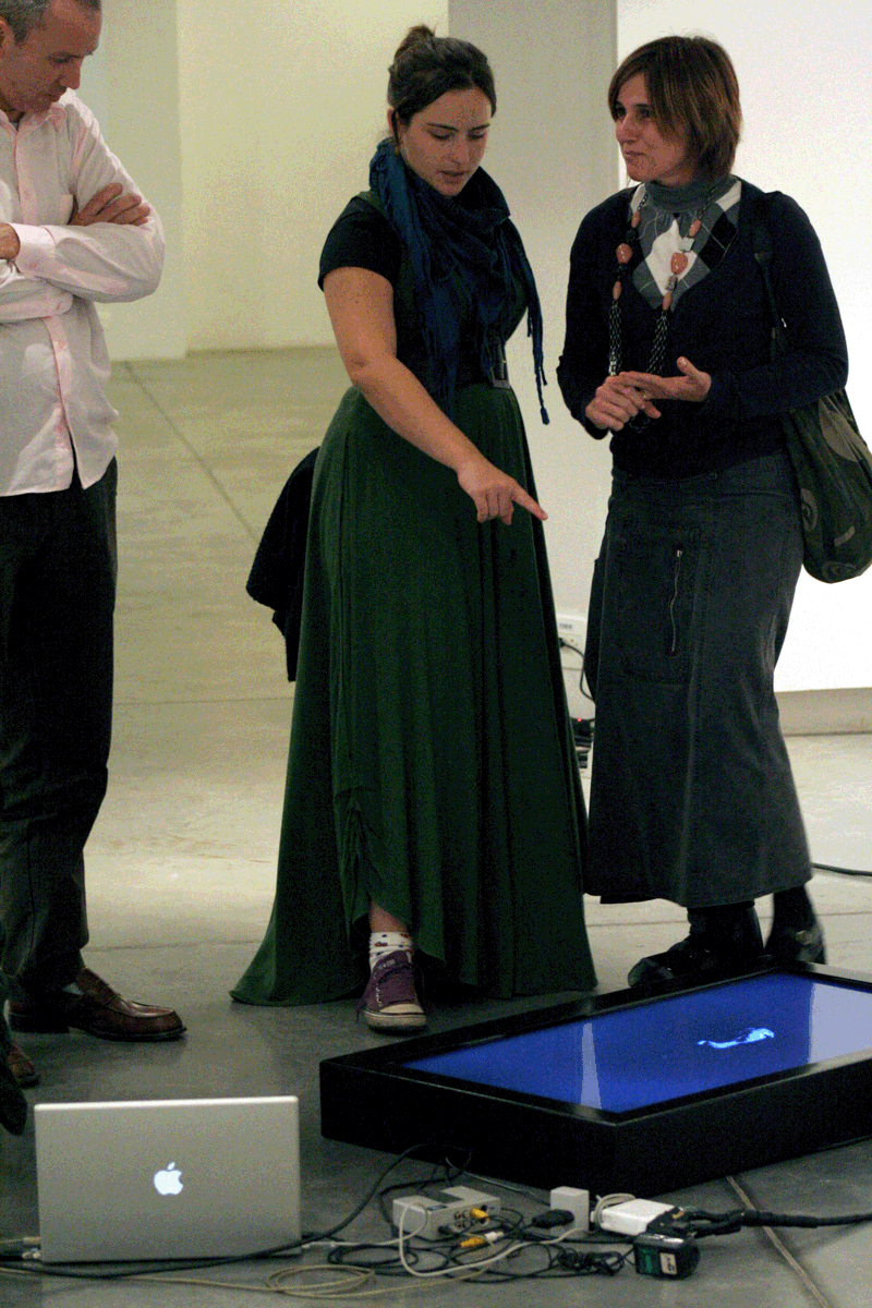 preto-sobre-preto_3930895101_o.gif