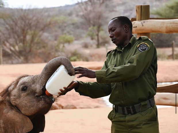 RETETI Elephant SanctuaryIMG_3871.jpg