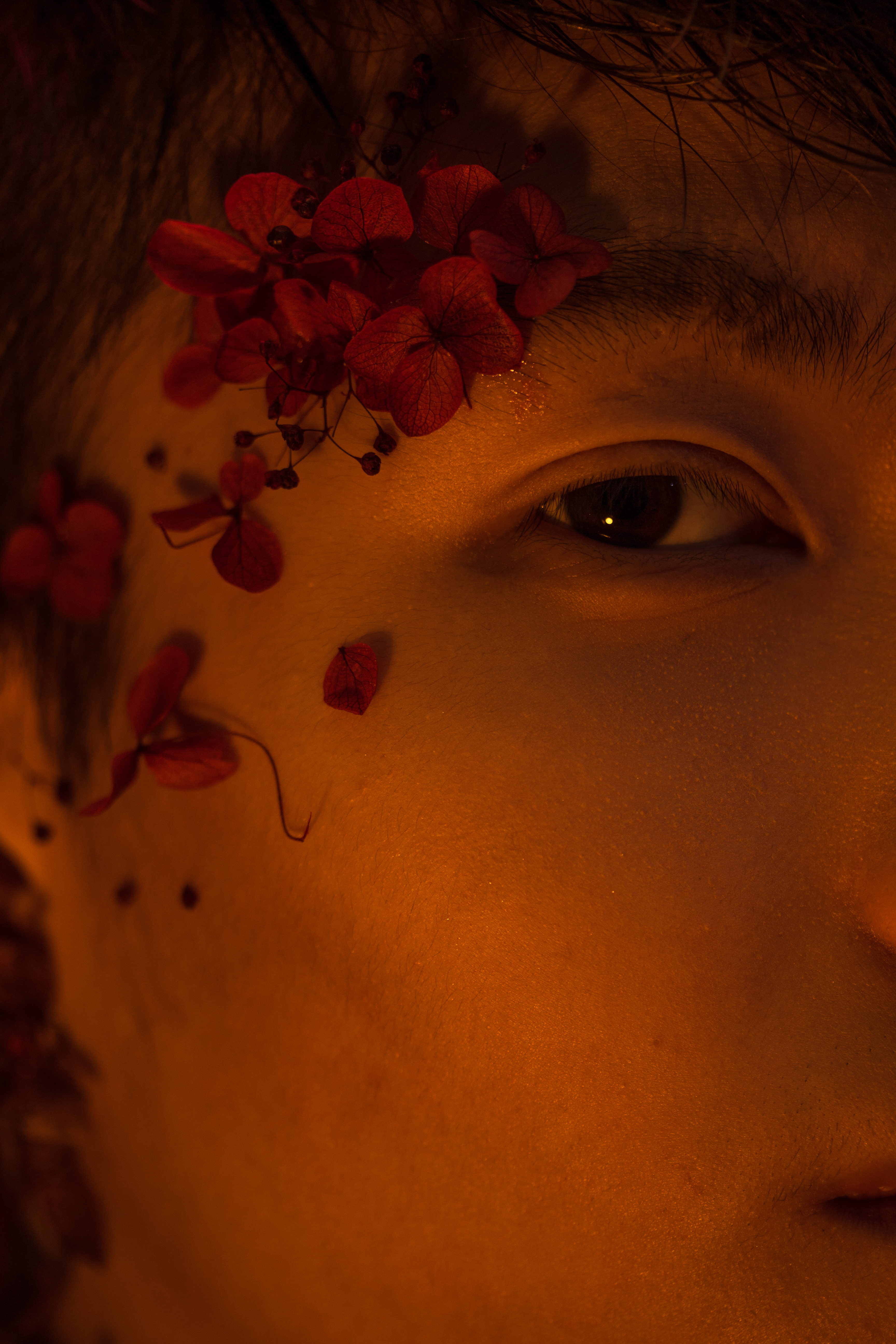 Red ‧ Flower ‧ Man