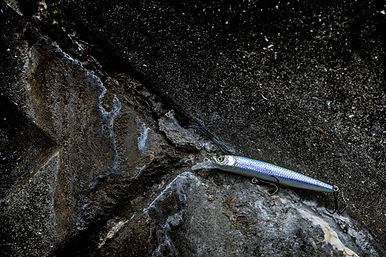 UNIMAGINABLE LONG CASTING ABILITY AND A HIGH-RESPONSE DARTING ACTION.