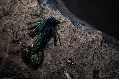 YOU CAN CHANGE THE ACTION BY TUNING. FREE-TO-USE GADGET SOFT BAIT