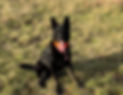 489068126_17868432798348214_7342973439098470768_n_edited_edited_edited.jpg
