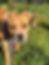 523145996_721131970715586_6800712741159148001_n.jpg