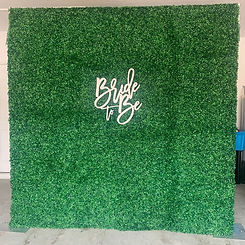 Orlando grass wall .jpeg