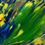 Thumbnail: Sheet Piece: Caustic Butterfly #14