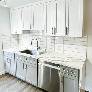 White Shaker and Light Gray Shaker, Bevel Shaker Door, Face Frame Cabinet, Semi-Gloss